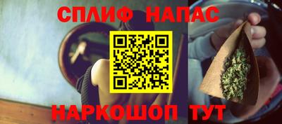 гашик Гусев