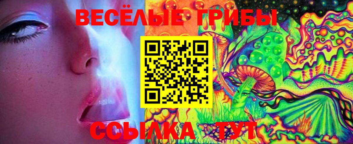Псилоцибиновые грибы ЛСД Заинск