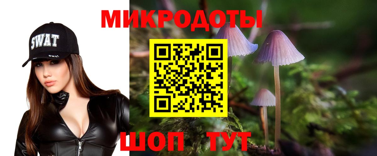 Галлюциногенные грибы Magic Shrooms  Псилоцибиновые грибы прущие грибы  Заинск  Вход с VPN 